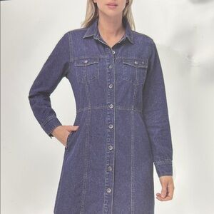 NWT Frye Dark Wash Long Sleeve Denim Dress